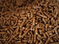 Karottenpellets